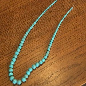 Native America Sleeping Beauty Turquoise Necklace